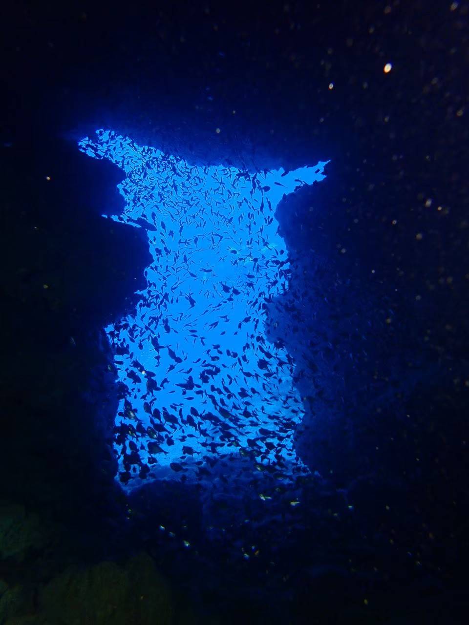 万座の水中洞窟から青い出口と魚群を見上げる風景